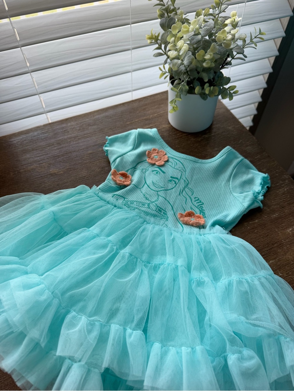 Disney Aqua Tulle Princess Tutu Dress with Coral Floral Accents